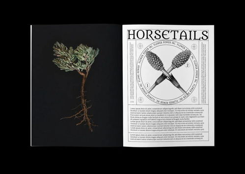 CGDA 2019視覺傳達(dá)設(shè)計(jì)獎獲獎作品賞析